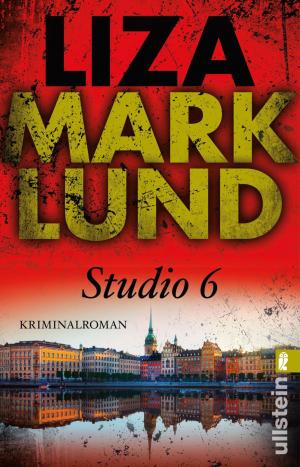 Cover of the book Studio 6 by Gabi Pörner