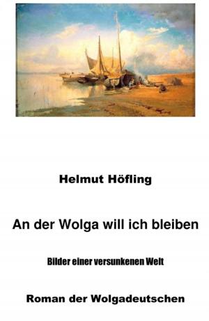 Cover of the book An der Wolga will ich bleiben by Daniela Nelz