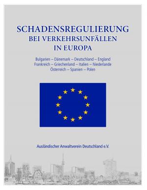 Cover of the book Schadensregulierung bei Verkehrsunfällen in Europa by Christian Schlieder