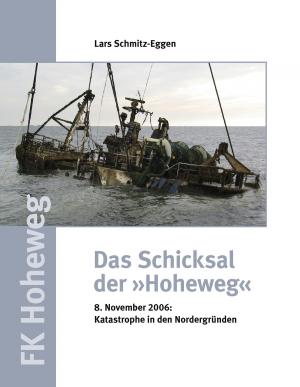 Cover of the book Das Schicksal der Hoheweg by Jens Sengelmann