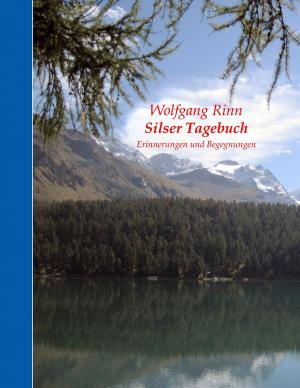 Cover of the book Silser Tagebuch by Heike Thieme
