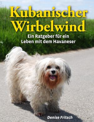 Cover of the book Kubanischer Wirbelwind by Eufemia von Adlersfeld-Ballestrem