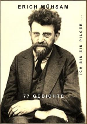 Cover of the book Ich bin ein Pilger ... by Harry Eilenstein
