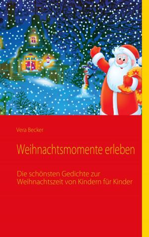 Book cover of Weihnachtsmomente erleben