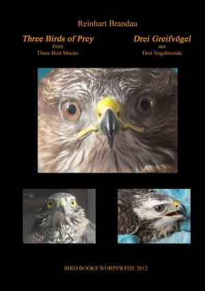Cover of the book Three Birds of Prey - Drei Greifvögel by Tami Chirlek, Gerik Chirlek
