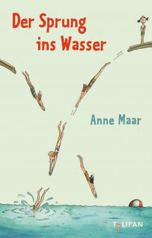 Book cover of Der Sprung ins Wasser