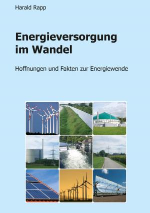 Cover of the book Energieversorgung im Wandel by Peter Philippen-Lindt, Jürgen Hennecke