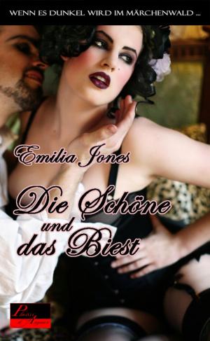 Cover of the book Wenn es dunkel wird im Märchenwald ...: Die Schöne und das Biest by Ednor Mier
