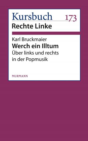 Cover of the book Werch ein Illtum by 