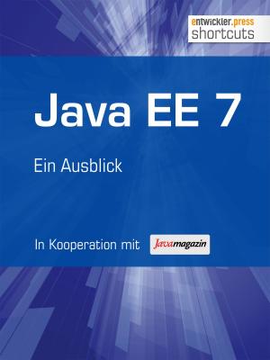 Book cover of Java EE 7