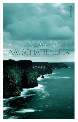 Book cover of Am Schattenufer (eBook)