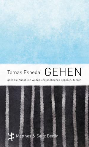 Cover of the book Gehen by Alexander Pschera
