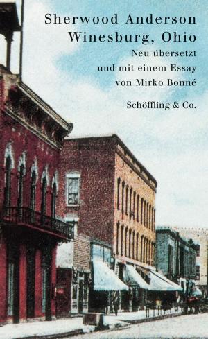 Cover of the book Winesburg, Ohio by Daan Heerma van Voss, Thomas Heerma van Voss