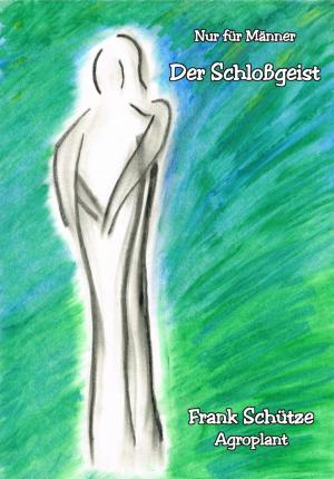 Cover of Schloßgeist, (Reihe: Nur für Männer!),