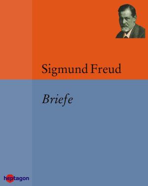 Cover of the book Briefe by Friedrich Nietzsche