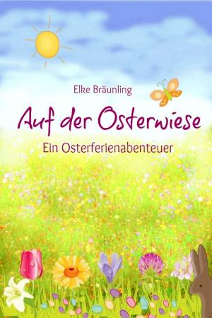 Cover of the book Auf der Osterwiese - Ein Osterferienabenteuer by Collectif