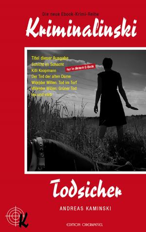 Cover of the book Todsicher by Brigitte Lamberts, Annette Reiter