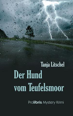 Book cover of Der Hund vom Teufelsmoor