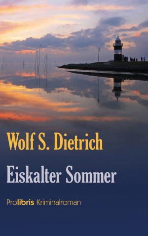 Cover of the book Eiskalter Sommer by Roland Lange