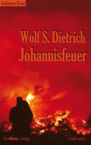 Cover of the book Johannisfeuer by Uwe Grießmann