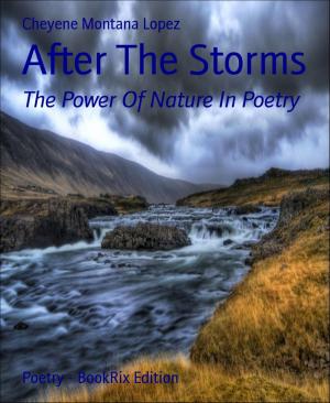 Cover of the book After The Storms by Roxanne Jade Regalado