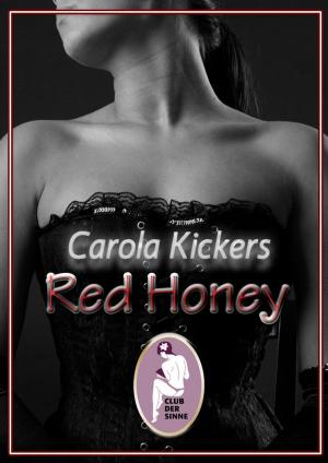 Cover of the book Red Honey by Elena Larreal, J. K. Vélez