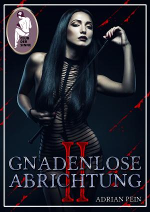 Book cover of Gnadenlose Abrichtung 2