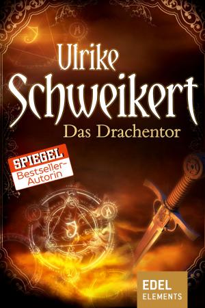 Cover of the book Das Drachentor by Grace M. DeLeesie