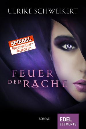 Cover of the book Feuer der Rache by Hannes Wertheim