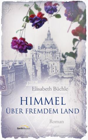 Cover of the book Himmel über fremdem Land by Thomas Franke