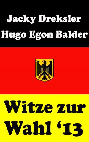 Cover of Witze zur Wahl 2013