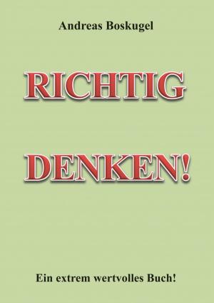 Book cover of RICHTIG DENKEN!