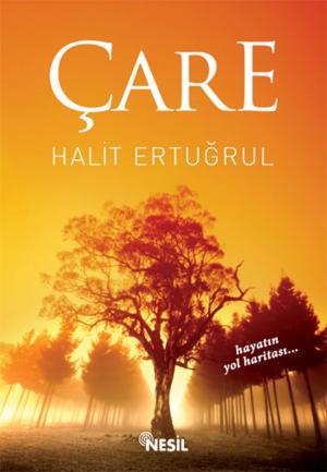 Book cover of Çare