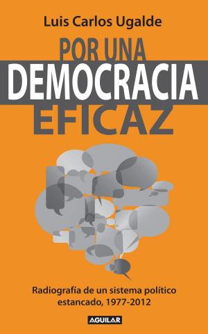 Cover of the book Por una democracia eficaz by Ignacio Solares