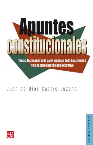 Cover of the book Apuntes constitucionales by Alicia Hernández Chávez, Luis F. Aguilar Villanueva, Sergio Fabbrini, William E. Leuchtenburg, James L. Sundquist