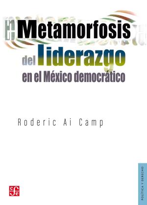 Cover of the book Metamorfosis del liderazgo en el México democrático by Carlos Pellicer