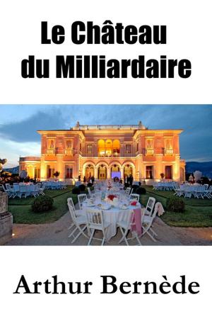 Cover of the book Le Château du Milliardaire by Edwin Lester Arnold