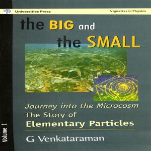Cover of the book The Big and The Small by M.S. Valiathan