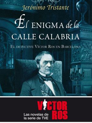 Cover of the book El enigma de la Calle Calabria by Mitch Albom