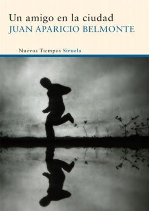 Cover of the book Un amigo en la ciudad by Jesús Marchamalo