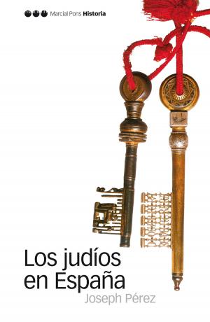 Cover of the book Los judíos en España by Alejandro García Sanjuan