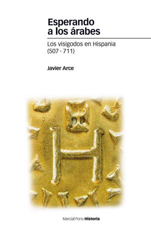 Cover of the book Esperando a los árabes by Alejandro García Sanjuan