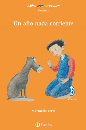 Cover of the book Un año nada corriente (ebook) by Gerard Van Gemert