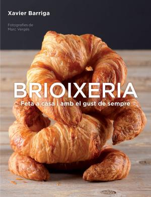 Cover of the book Brioixeria by Luigi Garlando
