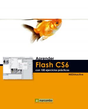 Cover of the book Aprender Flash CS6 con 100 ejercicios prácticos by MEDIAactive