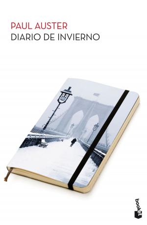 Cover of the book Diario de invierno by Luz Gabás