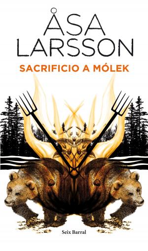 Cover of the book Sacrificio a Mólek by Juan Cruz Ruiz