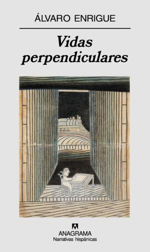 Cover of the book Vidas perpendiculares by Julian Barnes