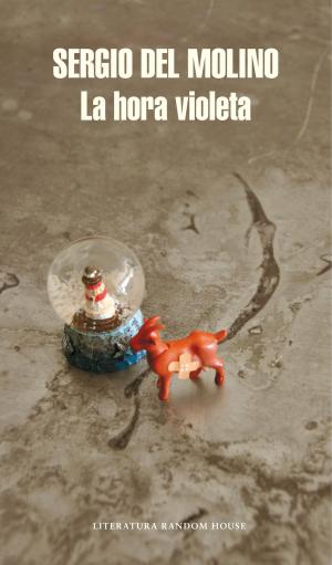 Cover of the book La hora violeta by Erik Axl Sund