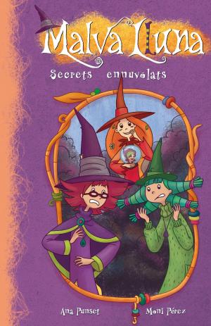 Cover of the book Secrets ennuvolats (Serie Malva Lluna 6) by Cars, Jean des
